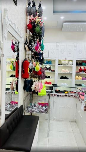 عکس فافالیدی