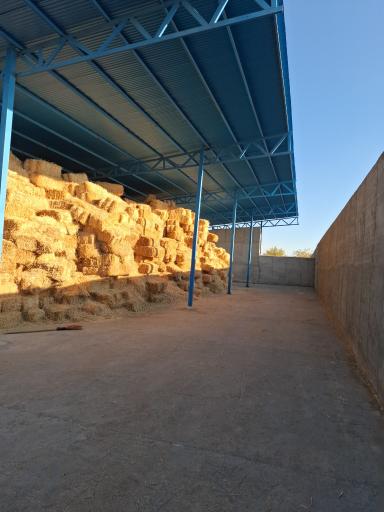 دامداری فدک مقدسی