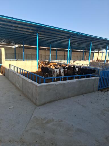 دامداری فدک مقدسی