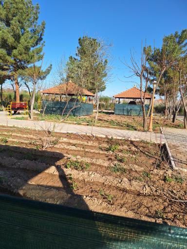 عکس پارک گردشگری تون فردوس