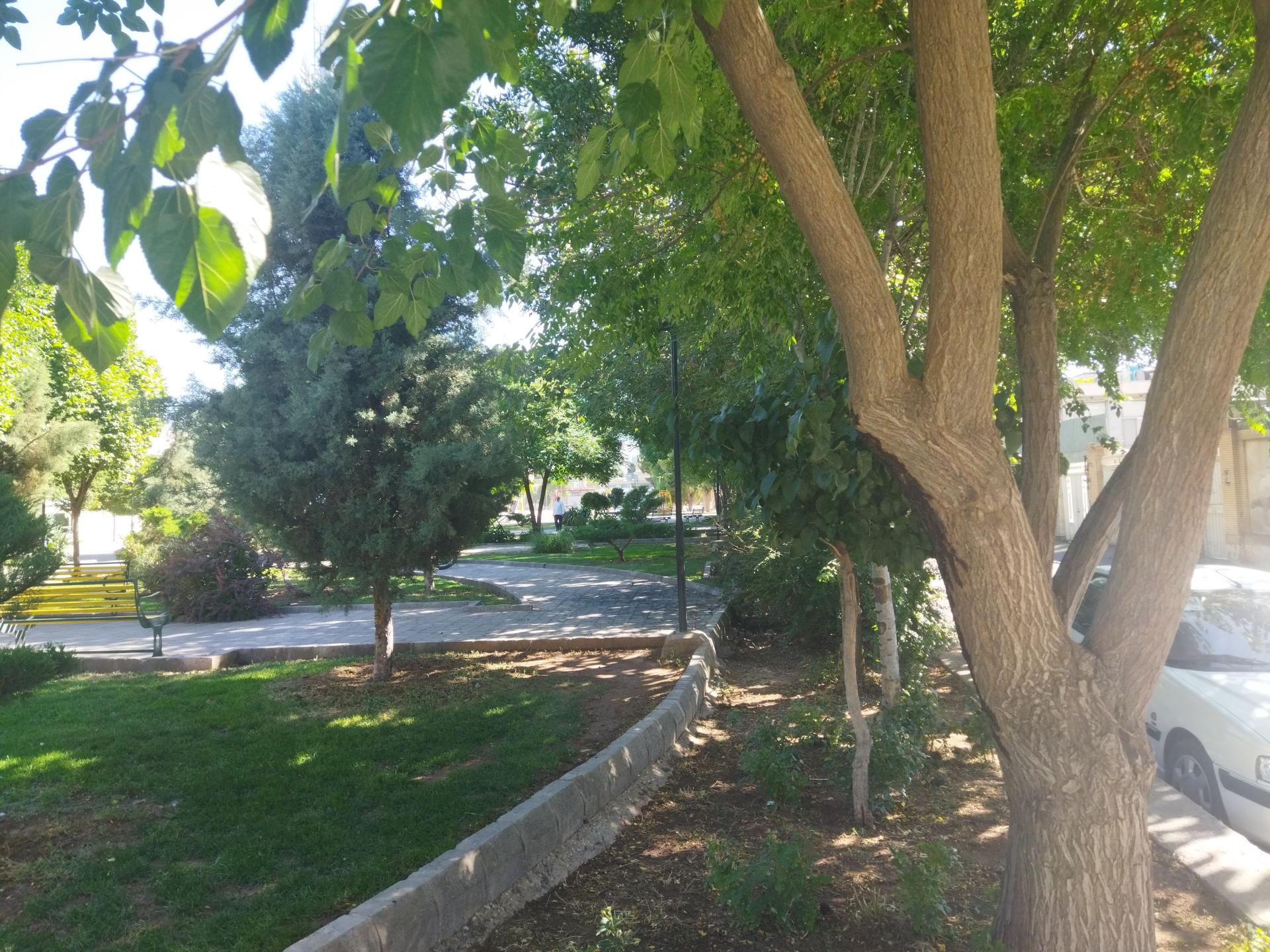 عکس بوستان و فضای سبز دانش