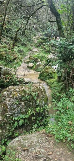 عکس آبشار چلندر