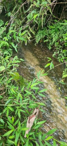 عکس آبشار چلندر