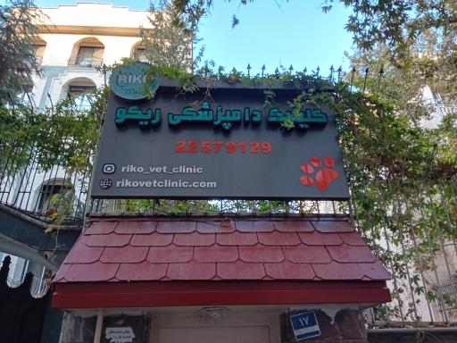 عکس کلینیک دامپزشکی ریکو