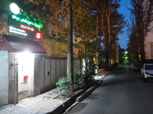 عکس کلینیک دامپزشکی ریکو