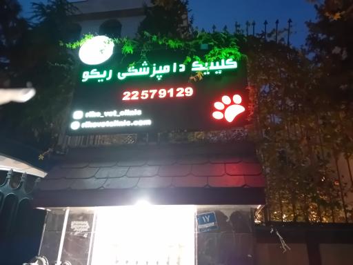 عکس کلینیک دامپزشکی ریکو