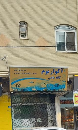 عکس کافه ماهی