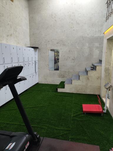 عکس باشگاه دکتر پلاس