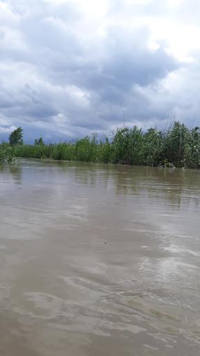 عکس پیشرو گشت آزاد جزیره