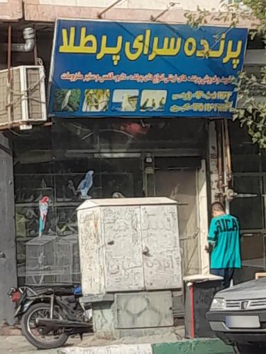 پرنده سرای پرطلا 