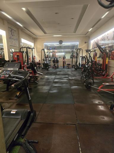 عکس باشگاه دکتر پلاس