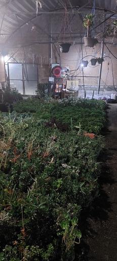 عکس لوازم خانگی برادران نوروزی