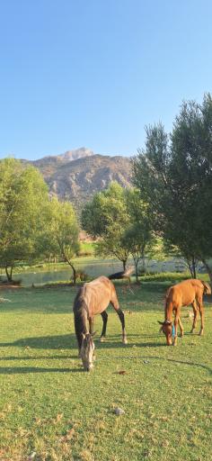 عکس خرم آباد