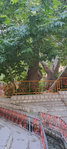عکس منطقه تفریحی سیاحتی سیاسرد