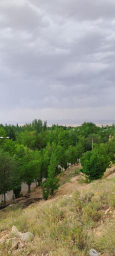 عکس منطقه تفریحی سیاحتی سیاسرد