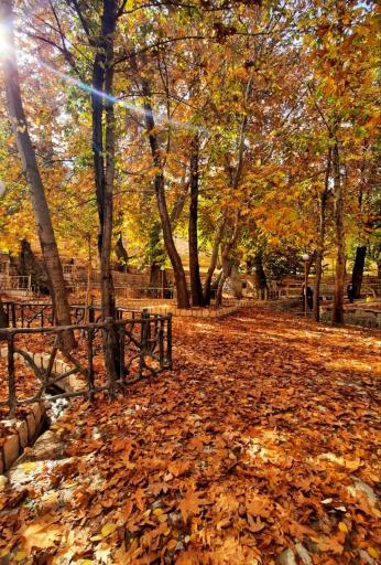عکس منطقه تفریحی سیاحتی سیاسرد