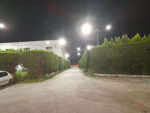عکس باغ تالار سعادت