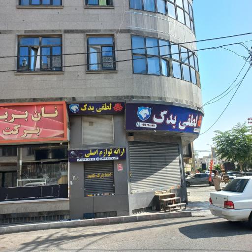 عکس لطفی یدک
