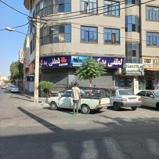 عکس لطفی یدک