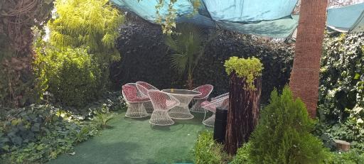 عکس هتل جهانگردی یزد
