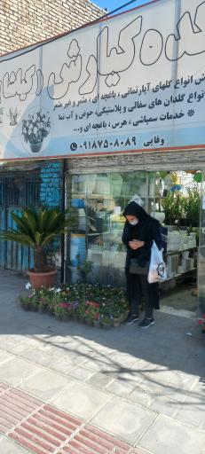 گلکده کیارش (کیاشا)