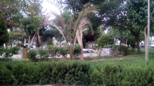 عکس بوستان امام رضا