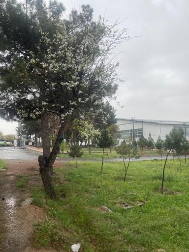 عکس دانشگاه آزاد اسلامی واحد تهران شمال