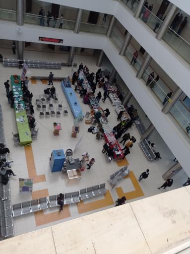 عکس دانشگاه آزاد اسلامی واحد تهران شمال