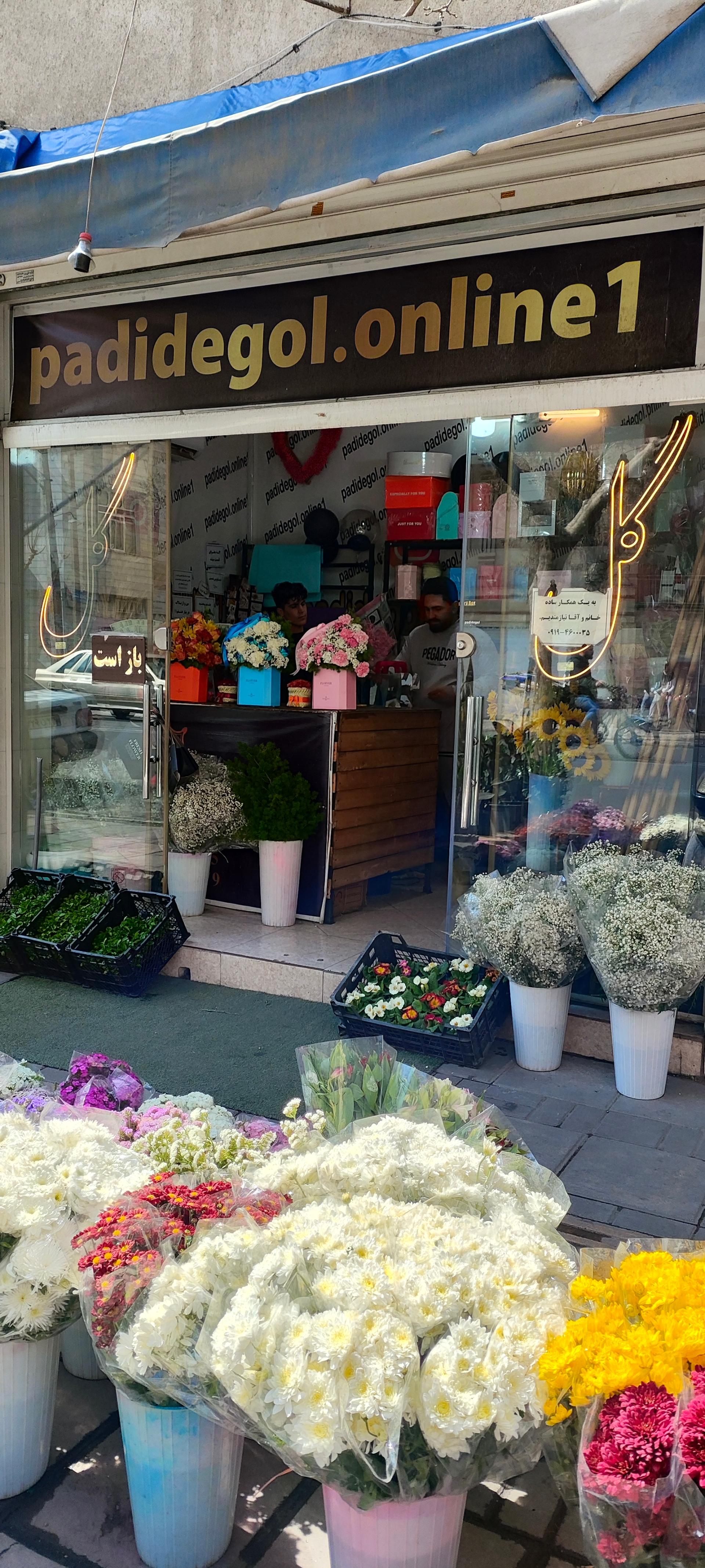 عکس گل فروشی پدیده گل