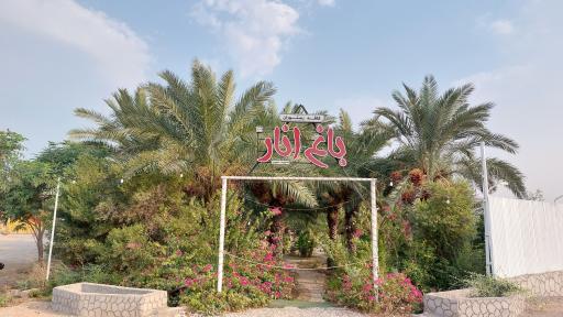 عکس بندقیر