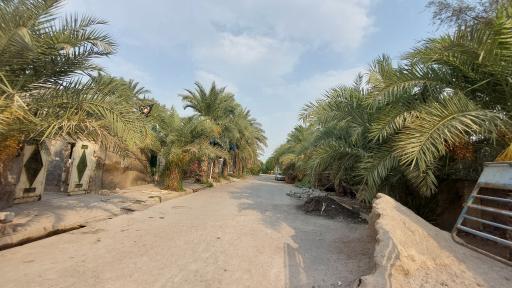 عکس بندقیر