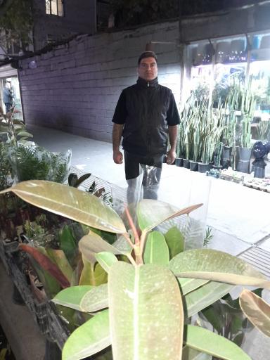 عکس گل فروشی حس خوب