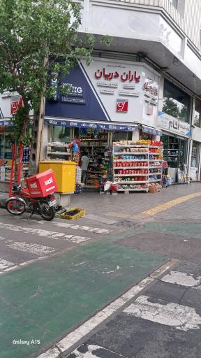 عکس یاران دریان پورشندی