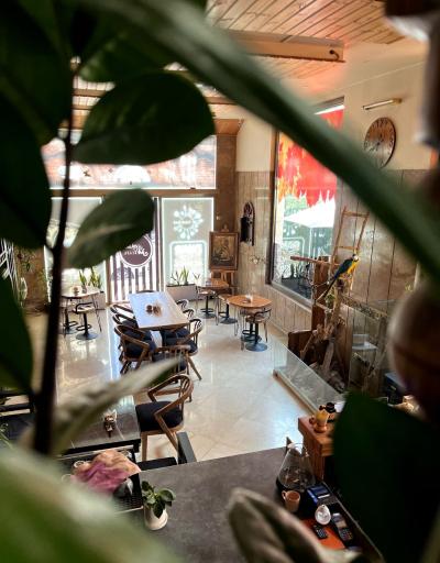 عکس کافه ی من