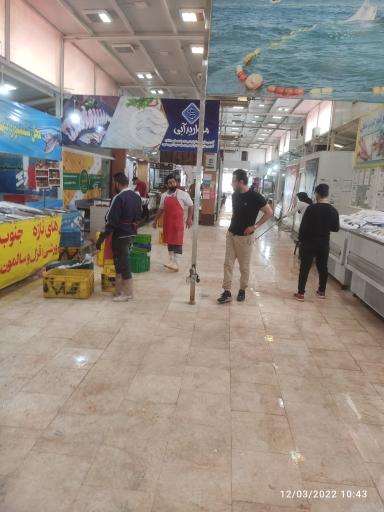 عکس بازار آبزیان و پروتئین شهرما (برادران صالحی)