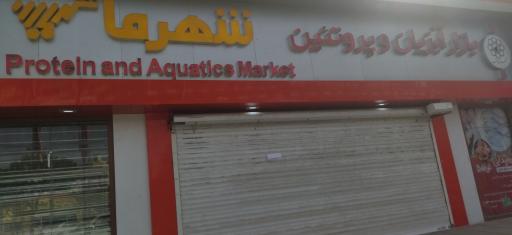 عکس بازار آبزیان و پروتئین شهرما (برادران صالحی)