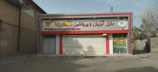 عکس بازار آبزیان و پروتئین شهرما (برادران صالحی)