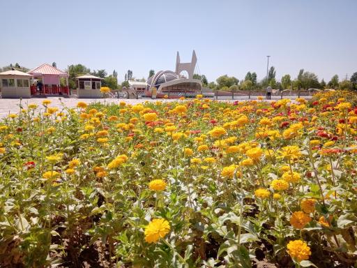 عکس رستوران سنجاقک