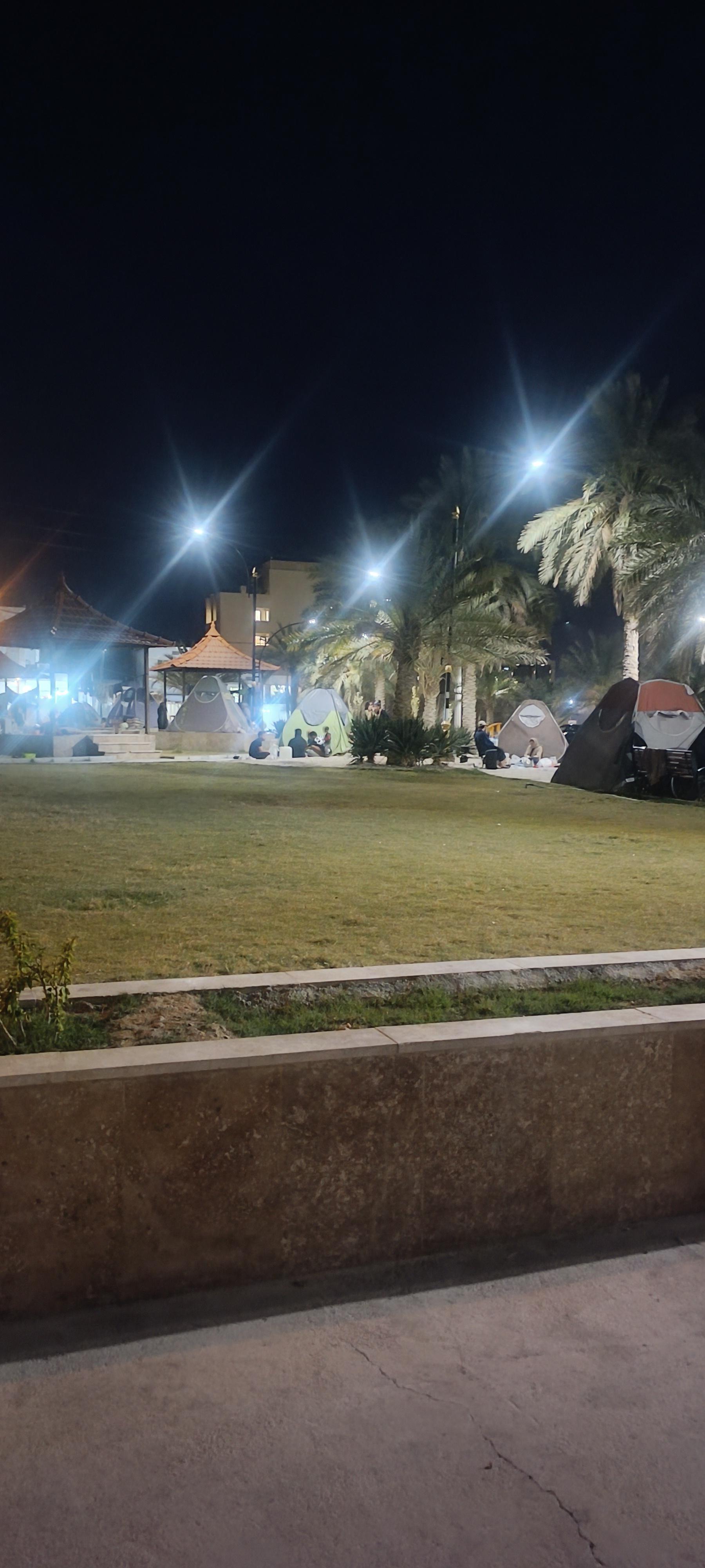 عکس پارک نخلستان