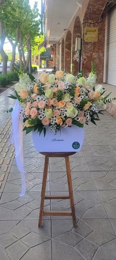 عکس گلفروشی گلچه