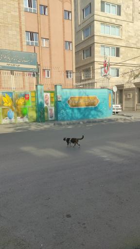 مدرسه پسرانه بکوائی (بزاز)