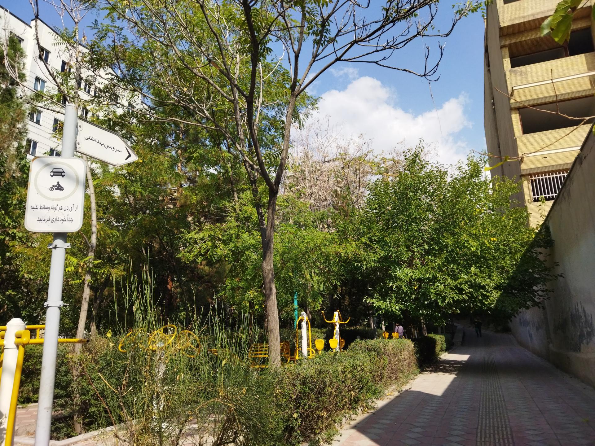 عکس بوستان دامن افشار