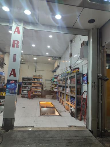 عکس اتوسرویس دیاکو