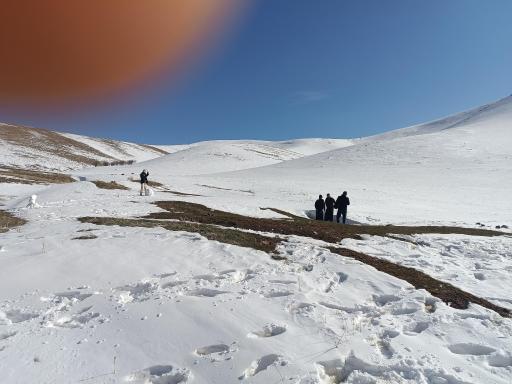 کوه بیژنگبسر