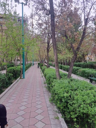 عکس بوستان دامن افشار