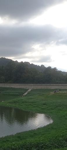 عکس پارک جنگلی عباس آباد