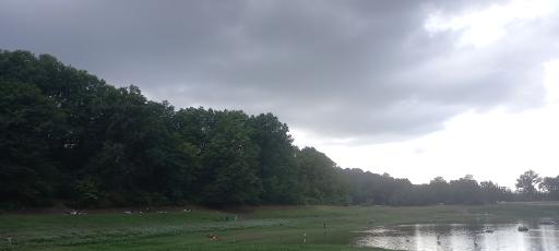 عکس پارک جنگلی عباس آباد