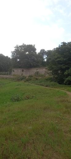 عکس پارک جنگلی عباس آباد