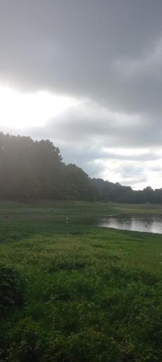 عکس پارک جنگلی عباس آباد