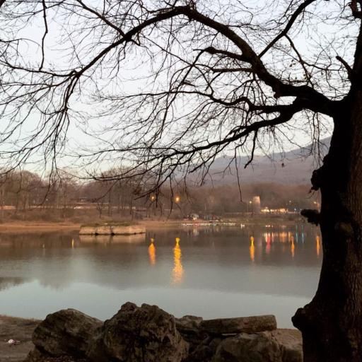 عکس پارک جنگلی عباس آباد